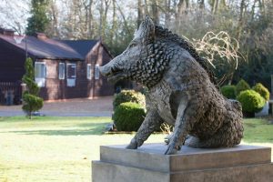 cattery watford
