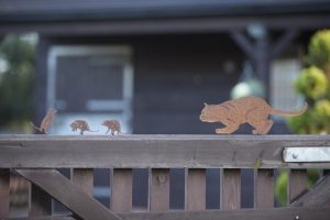 cattery windsor