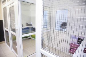 cattery wimbledon