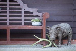 cattery wimbledon
