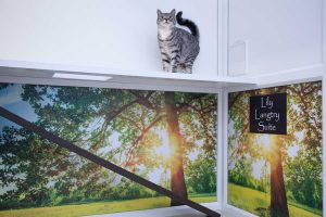cattery wimbledon