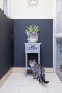 cattery wimbledon