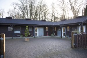 luxury cat hotel london | cattery watford