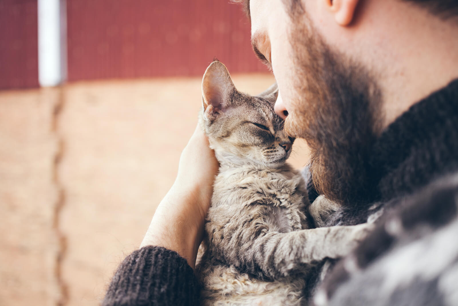 How To Build Your Cat’s Trust (And Affection!)